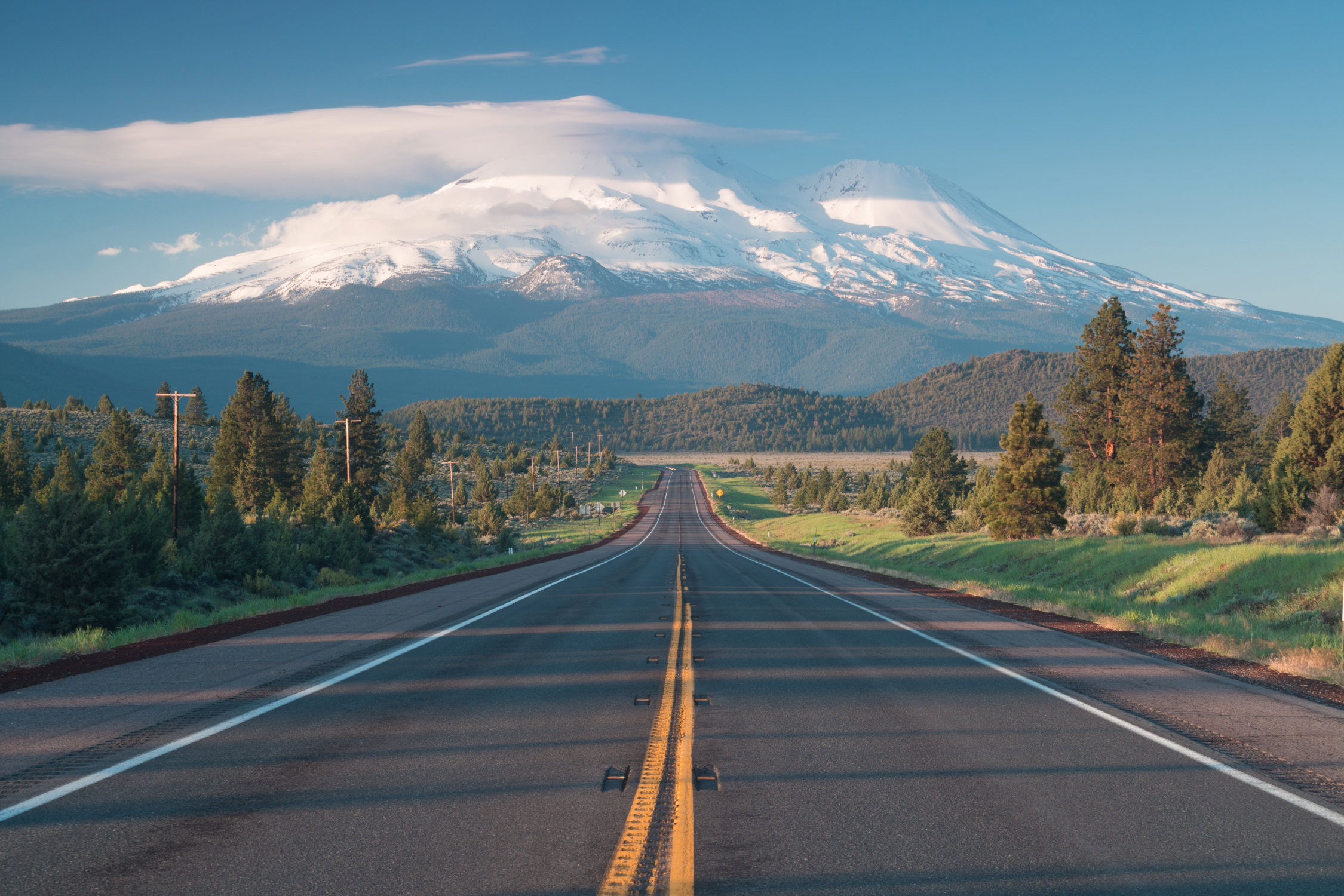 Montana Registration Services