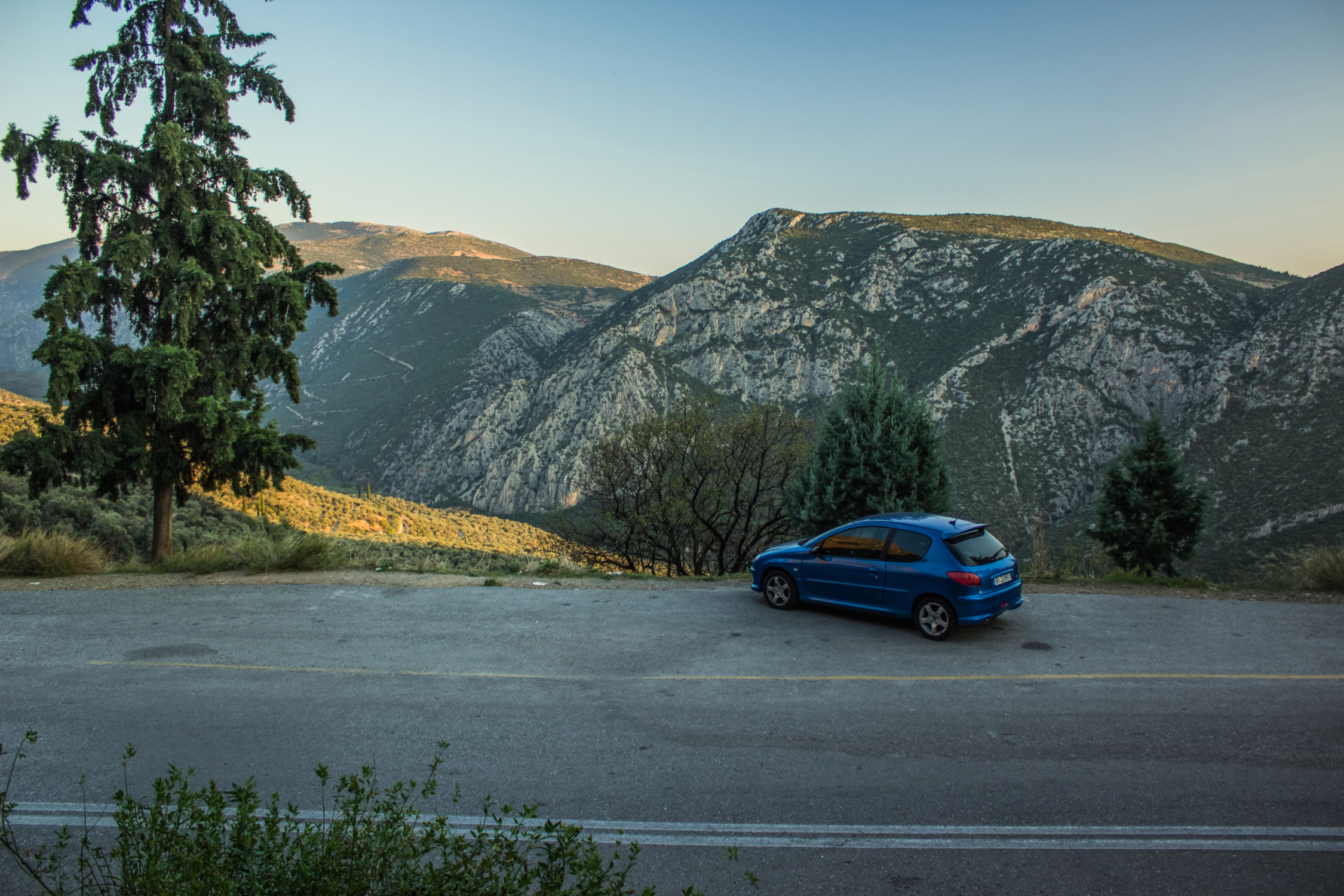 Montana Registration Services