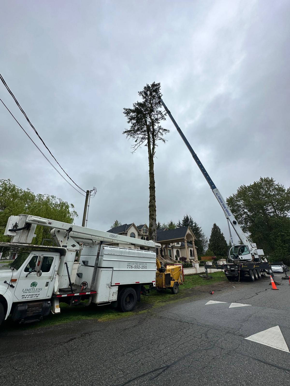 Limitless Tree Service