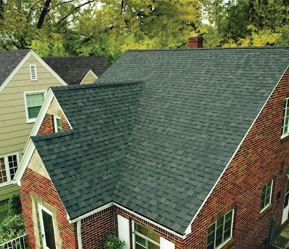 Honeybee Roofing