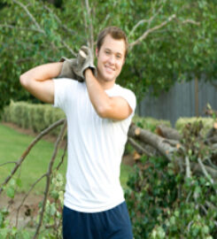 Tino's Tree Service