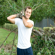 Tino's Tree Service