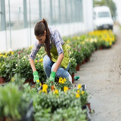 Zara Gardeners