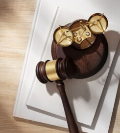 Michael Birch Partners Lawyers