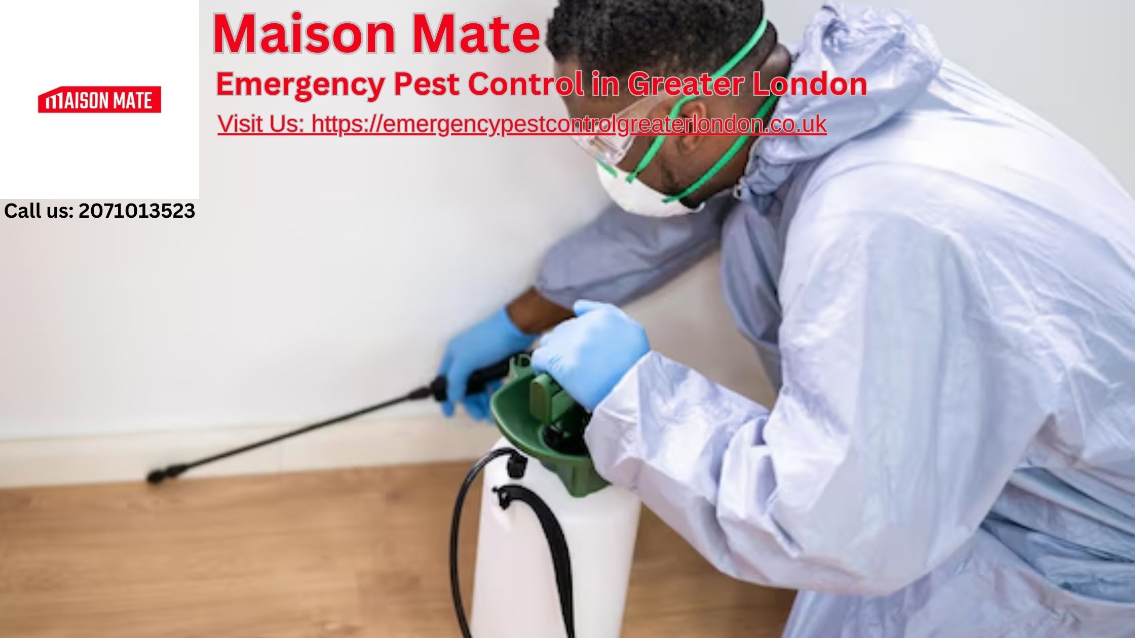 Emergency Pest Control in Greater London – Maison Mate