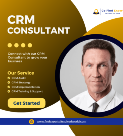 CRM Consultants