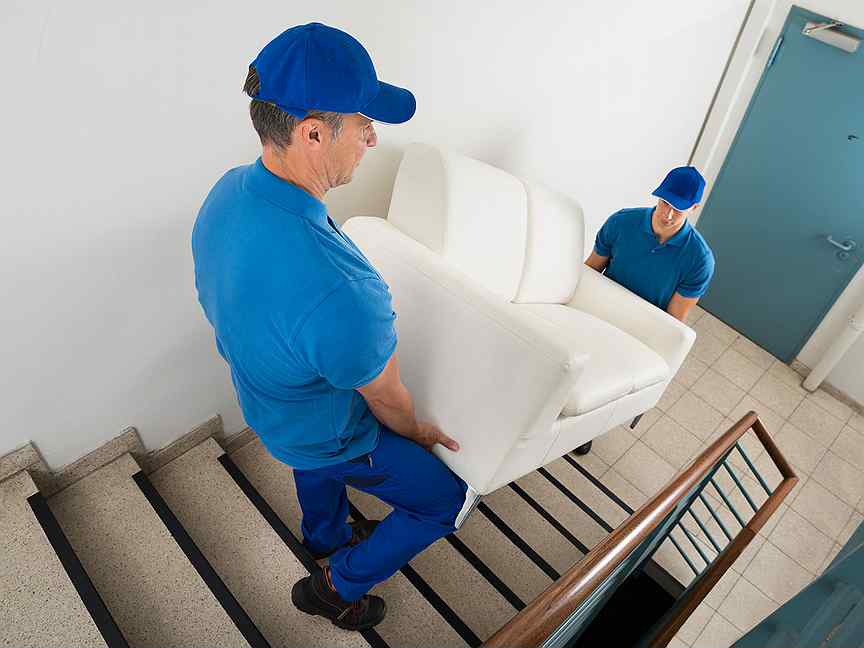 Avante Mover