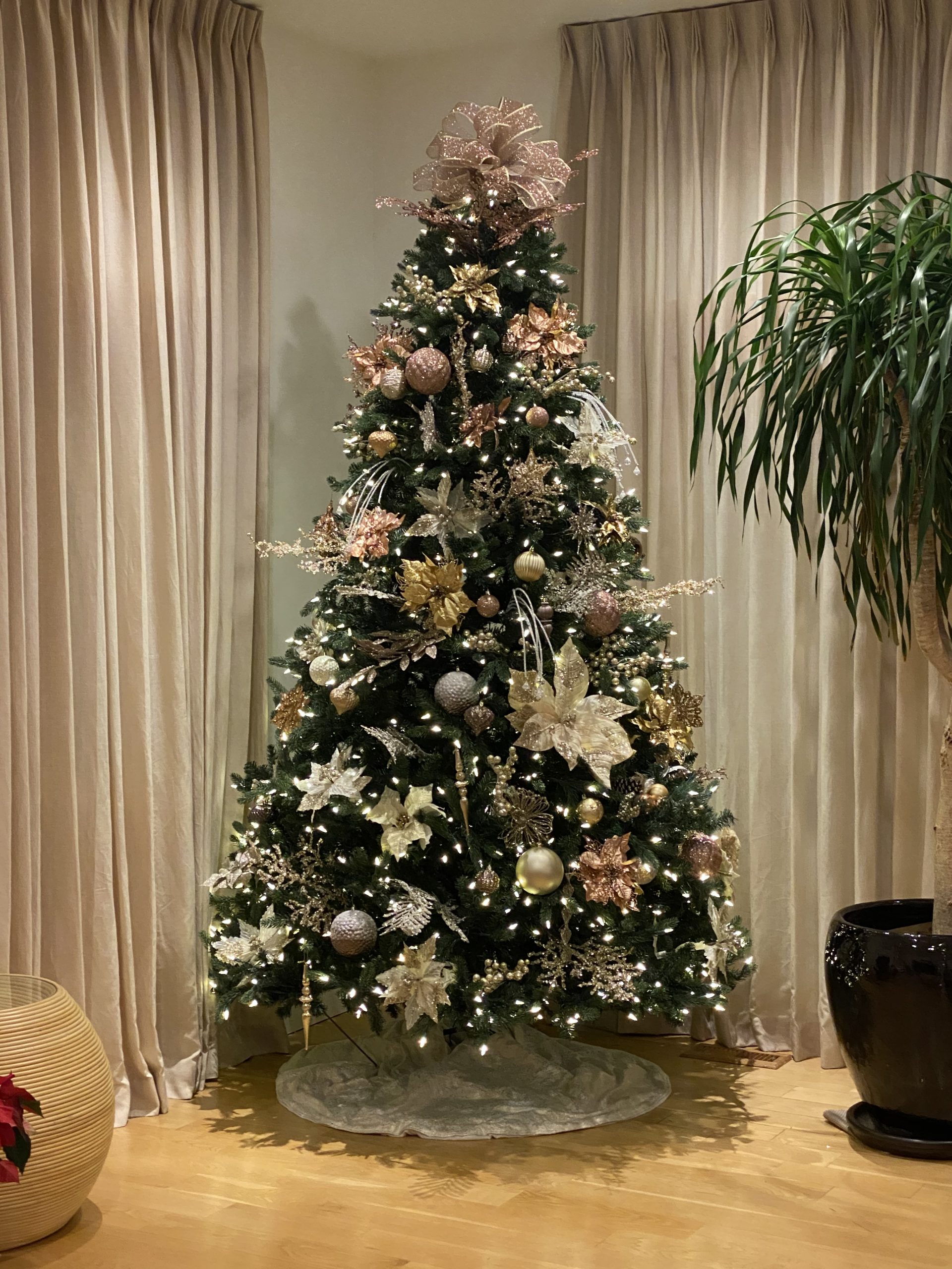 Holiday Tree Box