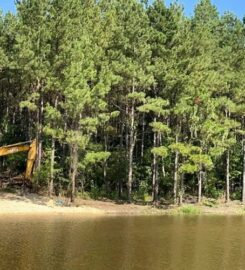 A.R.C. Forestry Mulching & Brush Control