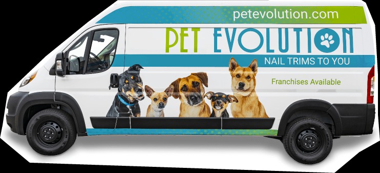 Pet Evolution Aliso Viejo