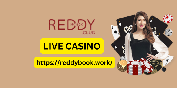 Reddybook: Your Ultimate Betting Hub