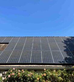 Slon Exterior Care