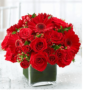 Berlin Blossom Shoppe