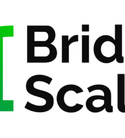 Bridge To Scale LLC