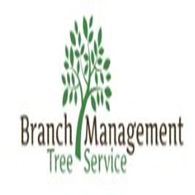 Branch Management Expert Tree Trimming