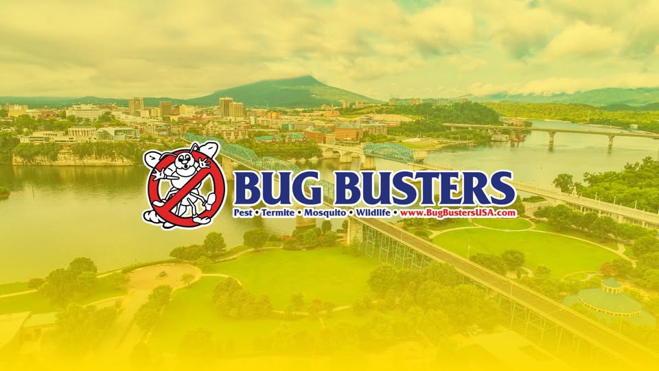 Bug Busters, Inc.