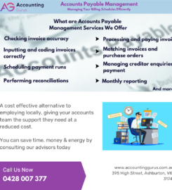 Accounting Gurus