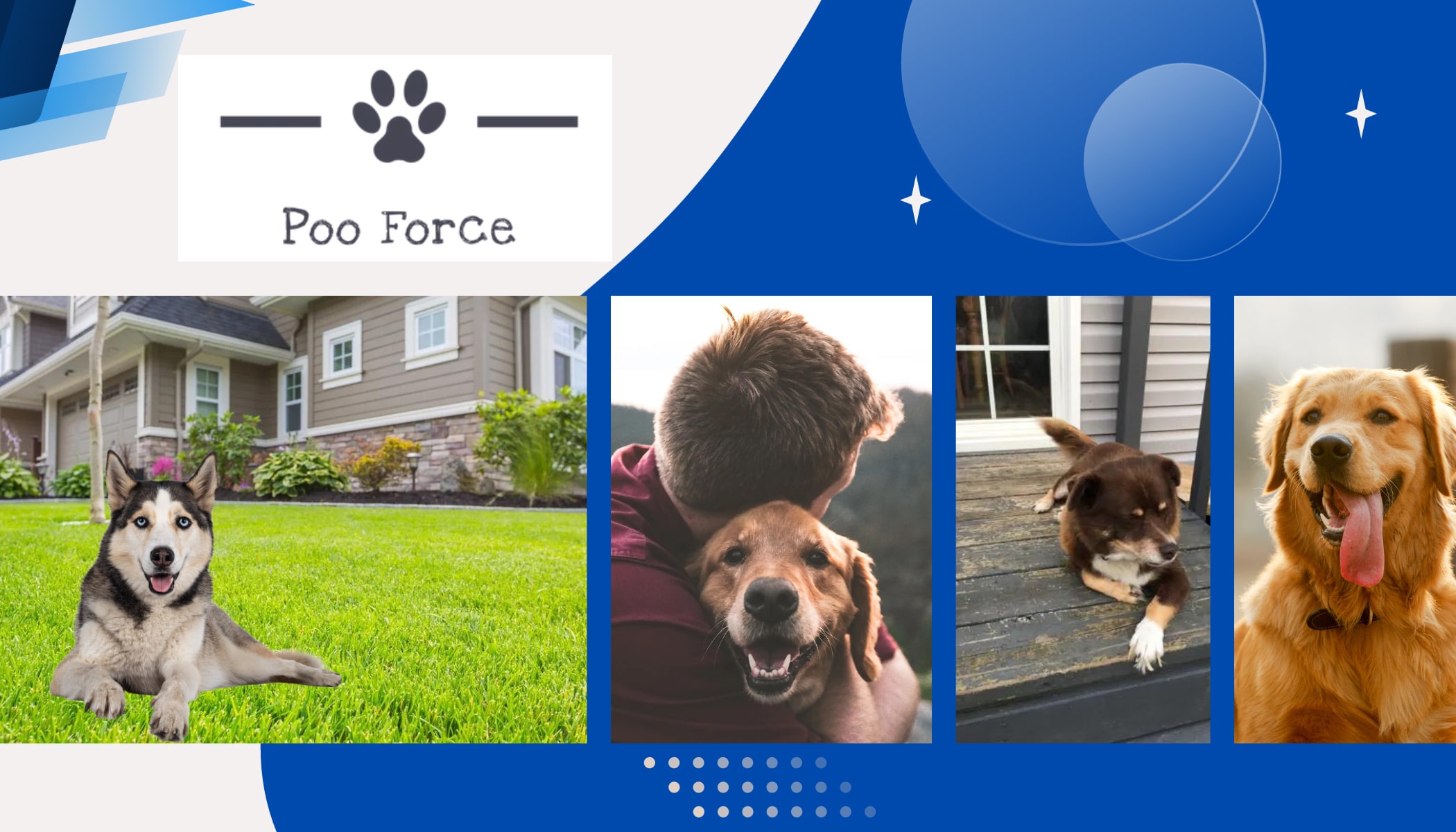 Poo Force Dog Poop Clean Up
