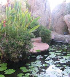 Pond Perfecter