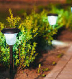 Aziz LED Lights