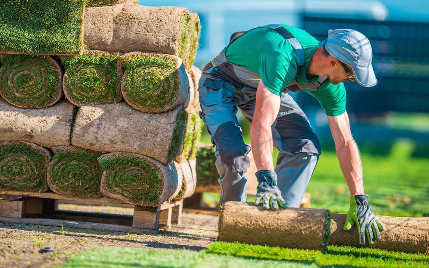 Hernandez Lawn Care Services LLC