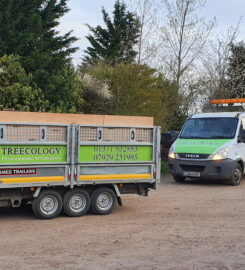 Tree Surgery in Essex | Tree Surgeon in Essex | Treecology