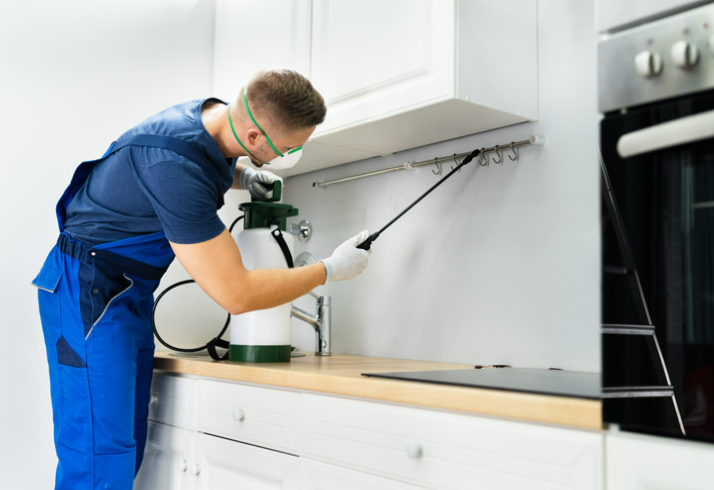 Pest Kings Wildlife & Pest Control Barrie