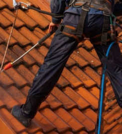 Roof Clean Spray Team