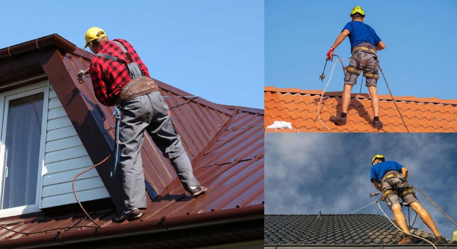 Roof Clean Spray Team