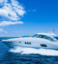 Ibiza Boat Charter