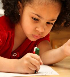 The Preschool Academy Inc