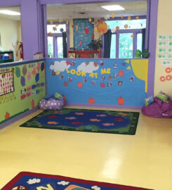 The Preschool Academy Inc