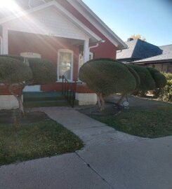 Complete Yard Service