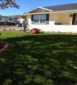 Complete Yard Service