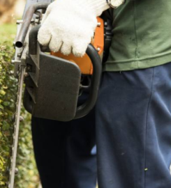 Tree Surgeon Pro