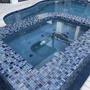 The Pool Repair Guy