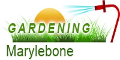 Gardening Marylebone