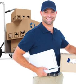 Waldo Movers