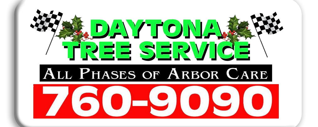 Daytona Tree Service