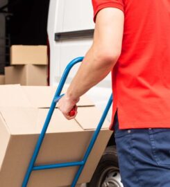 Wilmer Mover