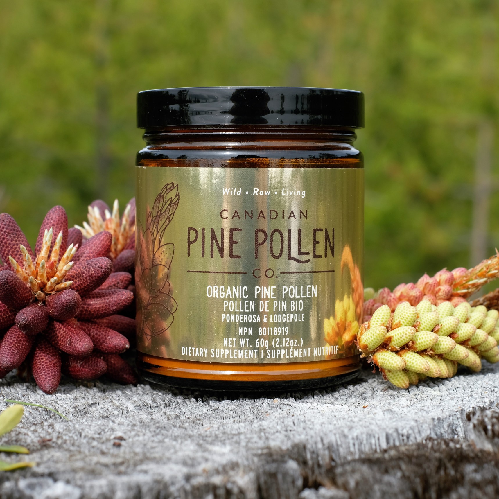 Canadian Pine Pollen Co