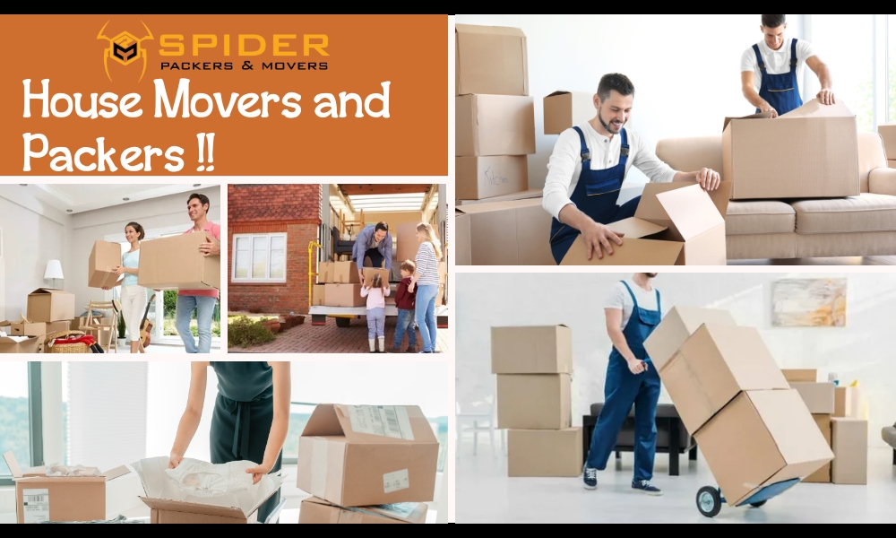 Spider Packers and Movers