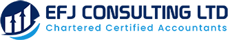 Expert CIS Monthly Return UK – EFJ Consulting
