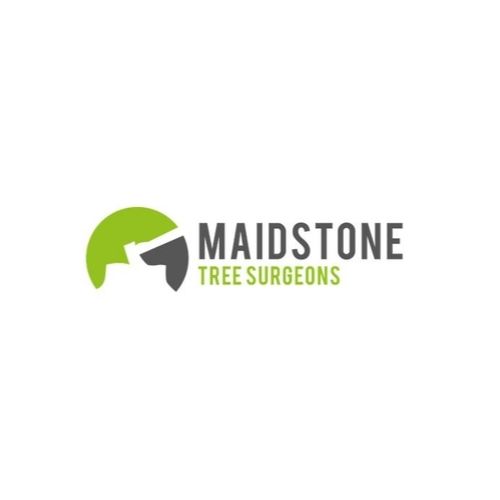 Tree Surgeon in Maidstone – Maidstone Tree Surgeons Ltd