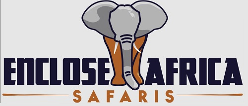 Enclose Africa Safaris – Tanzania Safaris | Rwanda Safaris
