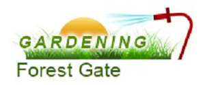 Gardening Forest Gate