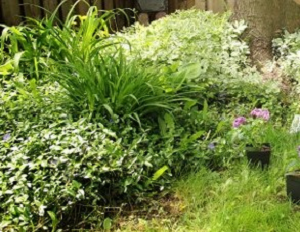 Great Gardeners