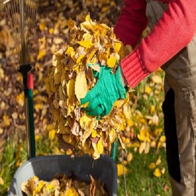 Commercial Waste St Johns Wood