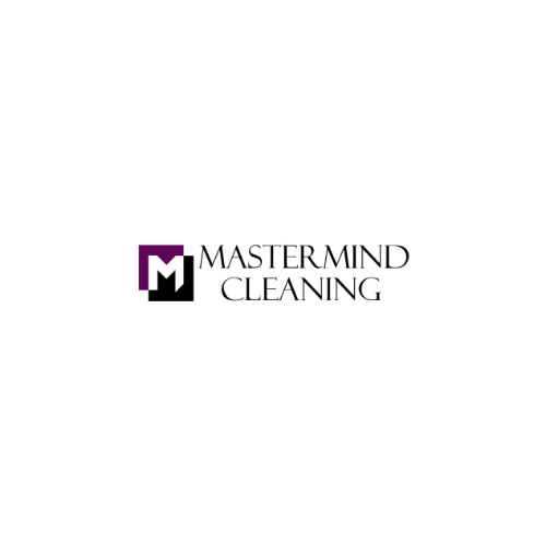 Mastermind Cleaning of the Palm Beaches