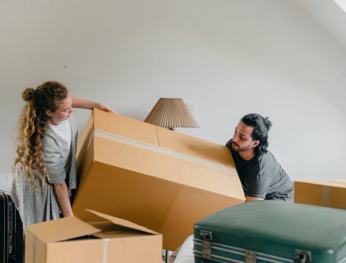 Thonotosassa Movers